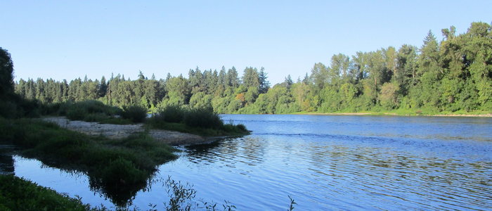 Spong's Landing Park